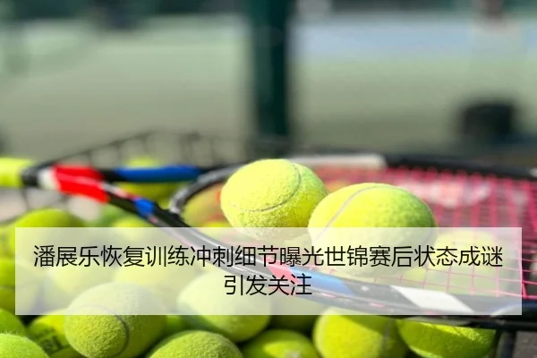 潘展乐恢复训练冲刺细节曝光世锦赛后状态成谜引发关注