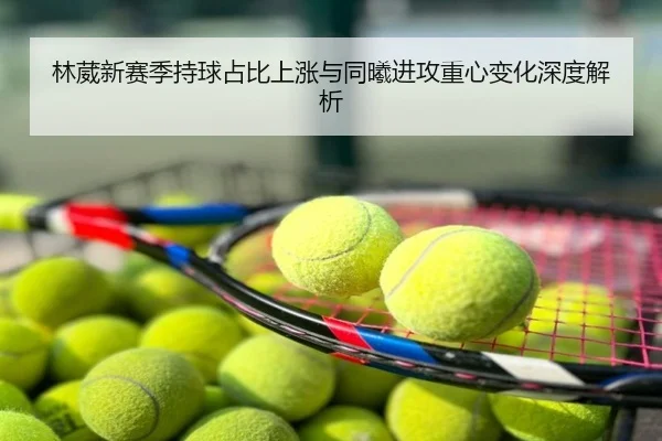 林葳新赛季持球占比上涨与同曦进攻重心变化深度解析